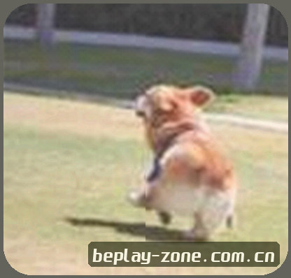 陈磊